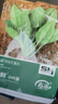 壽禾小葉菠菜蔬菜種子苗冬春種籽耐寒 濰育農家小葉菠菜種子100g*2袋 曬單實(shí)拍圖