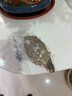 舟山梭子蟹鮮活特大野生大螃蟹新鮮冷凍海鮮水產(chǎn)海蟹飛蟹白蟹順豐 7-9兩/只【5斤凈重 特大肥壯】 曬單實(shí)拍圖