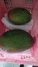 京鮮生 攀枝花凱特芒果 凈重4.5斤 帶箱5斤 單果400g+ 生鮮水果源頭直發(fā) 曬單實(shí)拍圖