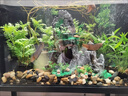 YEE魚(yú)缸氧氣泵養魚(yú)充氧泵增氧機小型超低音家用打氧魚(yú)缸增氧泵 3W【單孔】氣石套餐+全套配件 曬單實(shí)拍圖