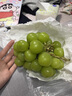傾睦陜西陽光玫瑰葡萄青提提子晴王青葡萄少籽甜葡萄新鮮水果應(yīng)季現(xiàn)摘 凈重4.5斤 曬單實拍圖