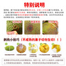 京鮮生 海南老樹菠蘿蜜 18-22斤裝 凈重18斤+ 生鮮水果 源頭直發(fā) 曬單實拍圖