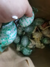 郵星高郵咸鴨蛋個大流油整箱揚(yáng)州特產(chǎn)好吃的即食熟咸蛋中秋送禮團(tuán)購 高郵咸蛋10枚*60g超值簡裝 曬單實拍圖