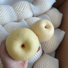 遠達（YUANDA）河北皇冠梨趙縣特產(chǎn)新鮮水果冰糖雪梨當(dāng)季水果梨子整箱白梨脆甜 一級皇冠梨凈重9斤 彩箱裝 曬單實拍圖
