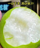 京鮮生 蘇翠一號 凈重5斤 單果200g+ 新鮮水果 源頭直發(fā)包郵 曬單實拍圖