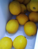 京鮮生 安岳黃檸檬16粒 單果95g-120g 生鮮水果 曬單實(shí)拍圖