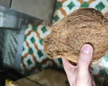 正宗海南老椰子椰寶新鮮現(xiàn)摘椰青椰子肉椰奶水新鮮椰子雞煲湯肉厚 中果（400-600g）送開果器+吸管 2個裝（冷藏后再喝，口感更佳） 曬單實拍圖