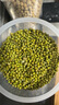 中小粒綠豆 五谷雜糧精品小綠豆綠豆粥綠豆沙豆沙豆芽豆漿 新綠豆900g 曬單實(shí)拍圖
