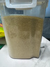十月稻田 24年新米 山西黃小米 5斤 五谷雜糧 粗糧 早餐小米粥 真空 2.5kg 曬單實(shí)拍圖