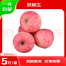 京鮮生 山東煙臺(tái)紅富士蘋(píng)果 凈重5斤 果徑75mm+ 新鮮水果 源頭直發(fā) 曬單實(shí)拍圖