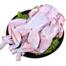 10斤新鮮牛蛙 特大速凍 去皮 半成品 火鍋食材 田雞鮮 活現(xiàn)殺商用 8斤（16只左右） 曬單實(shí)拍圖