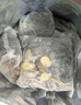 同仁堂泡腳藥包祛濕脾胃虛寒艾葉艾草生姜花椒驅(qū)寒足浴包三伏天男女通用 曬單實(shí)拍圖