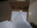瓦倫丁拉格啤酒500ml*24聽整箱罐裝黃啤 德國原裝進(jìn)口淡色啤酒送禮露營 500mL 24罐 整箱裝 曬單實(shí)拍圖
