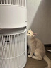 霍尼韋爾（honeywell）貓用寵物空氣凈化器 貓貓搭子h-cat家用吸浮毛過(guò)濾過(guò)敏原 國(guó)家補(bǔ)貼KJ360F-C22W（無(wú)喵趣互動(dòng)版） 曬單實(shí)拍圖