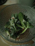 多肉植物 多肉套餐隨機(jī)不重復(fù)精選辦公室室內(nèi)陽臺室外紅色系列 隨機(jī)6顆多肉不重復(fù) 曬單實(shí)拍圖
