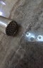 康佳（KONKA）面條機(jī) 家用壓面機(jī) 手持壓面槍 小型電動(dòng)自動(dòng)不銹鋼壓面條機(jī)5模型 KMTJ-0414-W 曬單實(shí)拍圖