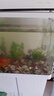 貝初眾魚(yú)缸過(guò)濾器循環(huán)水泵三合一小型魚(yú)缸過(guò)濾器靜音增氧泵過(guò)濾泵 五合一過(guò)濾器6W（適用魚(yú)缸30-40cm） （過(guò)濾/吸便/增氧/造浪/抽水） 循環(huán)水質(zhì) 強(qiáng)效過(guò)濾 曬單實(shí)拍圖
