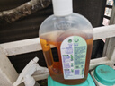 滴露（Dettol）洗衣消毒液衣物消毒水750mL除螨 家居寵物地板殺菌 非84酒精 曬單實(shí)拍圖