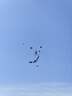 半畝花田臻潤(rùn)保濕面膜補(bǔ)水嫩膚舒緩護(hù)膚品化妝品春夏男女士 10片裝 曬單實(shí)拍圖