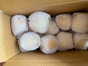 京鮮生 云南石林人參果 凈重3斤 單果50-80g 生鮮水果 源頭直發(fā)包郵 曬單實拍圖
