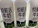 悅鮮活鮮牛奶 定期購(gòu) 950ml家庭裝牛奶原生高鈣低溫鮮奶  曬單實(shí)拍圖