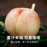 京覓江蘇水蜜桃 凈重4.8斤 單果200g起12枚 應(yīng)季新鮮水果源頭直發(fā) 曬單實(shí)拍圖