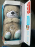 費雪（Fisher-Price）嬰兒玩具安撫玩偶哄睡生日禮物-音樂安撫酣睡小水獺GHL41 曬單實拍圖