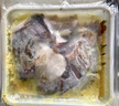 GUO LIAN國聯(lián)蒜香烤魚2斤2-3人份羅非魚燒烤夜宵加熱即食預制菜半成品 曬單實拍圖