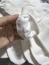雅鹿無(wú)骨堆堆襪子女純棉中筒襪夏季白色松口月子襪勃肯鞋長(cháng)襪6雙 曬單實(shí)拍圖
