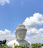 鮮京采 厄瓜多爾白蝦 凈重3斤/盒 特大號20-30規格   30-45只/盒 曬單實(shí)拍圖