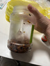 臘魚湖南正宗土特產煙熏臘魚干農家自制柴火腌魚塊咸魚干貨柴魚干 煙熏魚塊250g*4袋 曬單實拍圖