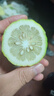 海南無籽香水檸檬新鮮水果檸檬無籽小青檸香水檸檬茶飲店專用 獨立包裝單果60-160g 9斤 曬單實拍圖