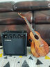 雅馬哈（YAMAHA）GA15II原裝進(jìn)口音箱失真電吉他木吉它民謠彈唱貝斯便攜多功能音響 雅馬哈GA15II【印尼進(jìn)口】 曬單實拍圖