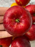南步東北龍豐果【順豐速發(fā)】酸甜龍秋果大秋果小蘋(píng)果海棠果新鮮水果 3斤 精選特大果【單果60g+】 曬單實(shí)拍圖
