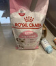 皇家幼貓貓糧 幼貓奶糕 K36 通用糧 4-12月 10KG 曬單實(shí)拍圖