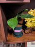 開(kāi)時(shí)果 大盆大葉金鉆綠公主盆栽 水培綠植辦公室內好養大葉綠蘿植物盆景 【約20-30cm】精品綠公主+磚紅加侖盆 曬單實(shí)拍圖