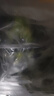 香水檸檬新鮮水果海南青檸檬水果奶茶店專用單果60-180g 香水檸檬9斤 曬單實拍圖