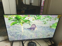 Vidda 海信電視32英寸 R32 智能護(hù)眼金屬全面屏 以舊換新家電能效補(bǔ)貼 游戲液晶電視32V1FD-R 32英寸 曬單實(shí)拍圖