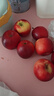 哆莫香遼寧國光蘋(píng)果 東北特產(chǎn)新鮮小國光蘋(píng)果當季孕婦水果甜心蘋(píng)果整箱 優(yōu)選老樹(shù)果3斤【無(wú)禮盒】 曬單實(shí)拍圖