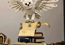 樂高（LEGO）積木哈利波特海德薇貓頭鷹拼裝玩具禮物76391霍格沃茨家居裝飾 曬單實(shí)拍圖