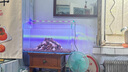 魚(yú)缸燈架水草燈架LED草缸燈水族箱魚(yú)缸照明燈架LED水草燈 四排三檔變色燈架 L-500（適合50-60cm魚(yú)缸 曬單實(shí)拍圖