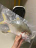 純色本味 冷凍舟山口袋鯧 700g 銀鯧魚(yú) 白鯧 中秋 平魚(yú) 地標(biāo)產(chǎn)品 生鮮魚(yú)類 曬單實(shí)拍圖