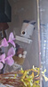 松寶（sobo）魚(yú)缸過(guò)濾器內置三合一循環(huán)過(guò)濾增氧泵抽水吸便凈水AQ-6200F款10W 曬單實(shí)拍圖