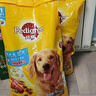 寶路狗糧成犬大型犬狗糧牛肉味15kg均衡營養(yǎng)全價(jià)糧30斤【寵物金選】 曬單實(shí)拍圖