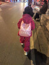 奧特曼童裝女童套裝春秋季2025新款兒童衣服中小童寶寶運(yùn)動(dòng)兩件套秋裝潮 酒紅色 90 建議80-90cm1歲半-2歲 曬單實(shí)拍圖