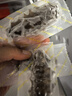 同仁堂北京同仁堂大連 冷凍即食海參遼參200g 6-8只固形物≥80%獨(dú)立包裝 曬單實(shí)拍圖