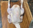 溫氏 供港富硒老母雞2斤 富硒農(nóng)家散養(yǎng)老母雞土雞冷凍 散養(yǎng)500天以上 曬單實(shí)拍圖