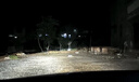 路泊斯特適用豐田霸道普拉多LED大燈汽車(chē)改裝遠光燈近光燈led車(chē)燈泡 中東普拉多11-13款【遠光】2支裝 曬單實(shí)拍圖