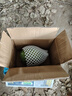 【新鮮上市】正宗攀枝花凱特芒果新鮮水果 帶箱2斤200g+ 曬單實拍圖