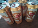 龍山泉本溪龍山泉啤酒  干啤易拉罐 天生新鮮 500mlx12聽本溪特產(chǎn) 曬單實(shí)拍圖